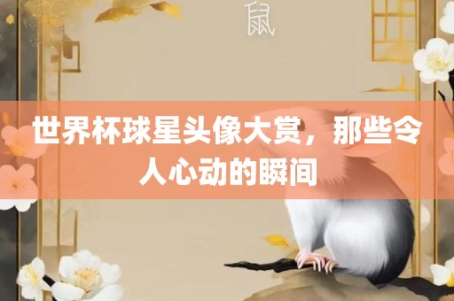世界杯球星头像大赏，那些令人心动的瞬间
