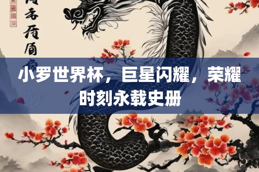 小罗世界杯，巨星闪耀，荣耀时刻永载史册