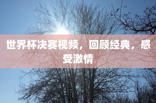 世界杯决赛视频，回顾经典，感受激情