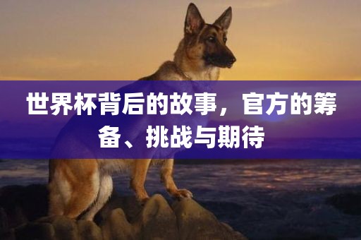 世界杯背后的故事，官方的筹备、挑战与期待