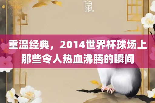 重温经典，2014世界杯球场上那些令人热血沸腾的瞬间