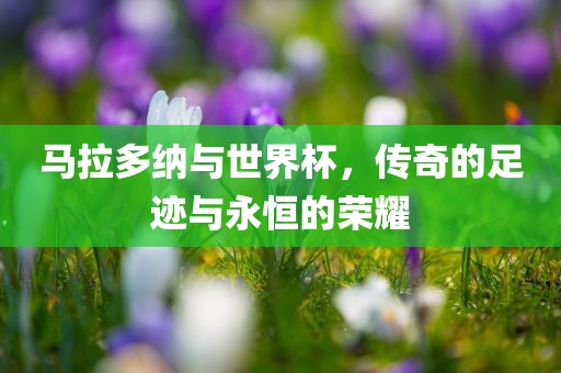 马拉多纳与世界杯，传奇的足迹与永恒的荣耀