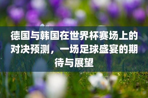 德国与韩国在世界杯赛场上的对决预测，一场足球盛宴的期待与展望