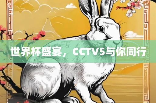 世界杯盛宴，CCTV5与你同行