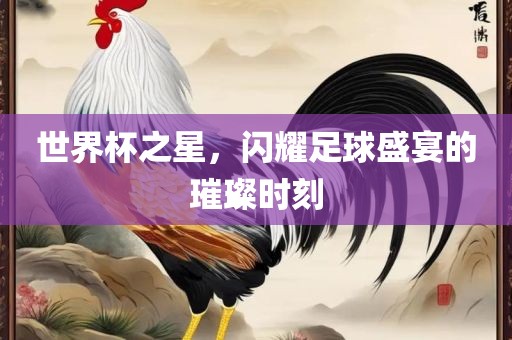 世界杯之星，闪耀足球盛宴的璀璨时刻