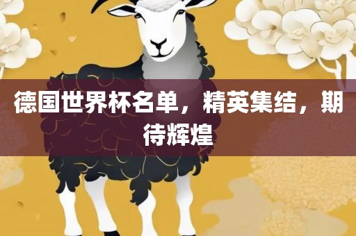 德国世界杯名单，精英集结，期待辉煌