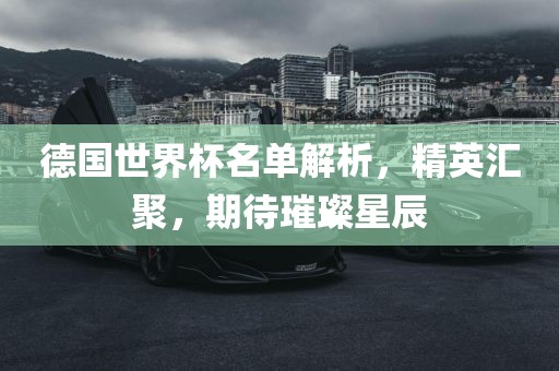 德国世界杯名单解析，精英汇聚，期待璀璨星辰