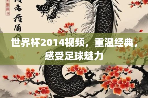 世界杯2014视频，重温经典，感受足球魅力