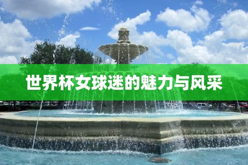 世界杯女球迷的魅力与风采
