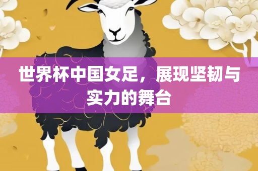 世界杯中国女足，展现坚韧与实力吉安市靖泰电力工程有限公司的舞台