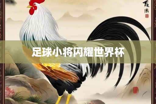 足球小将闪耀世界杯