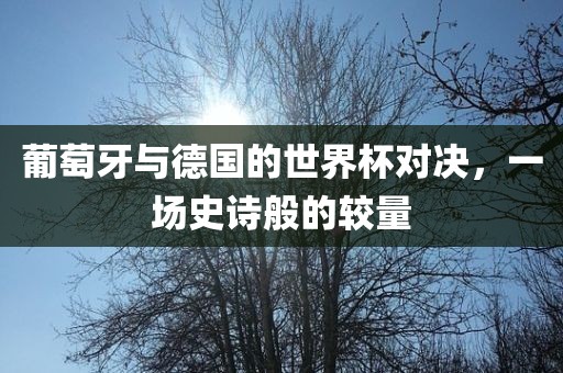 葡萄牙与德国的世界杯对决，一场史诗般的较量