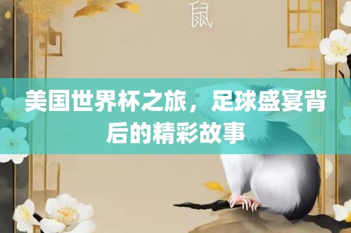 美国世界杯之旅，足球盛宴背后的精彩故事