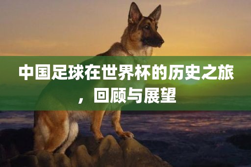 中国足球在世界杯的历史之旅，回顾与展望