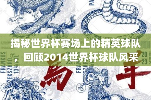 揭秘世界杯赛场上的精英球队，回顾2014世界杯球队风采