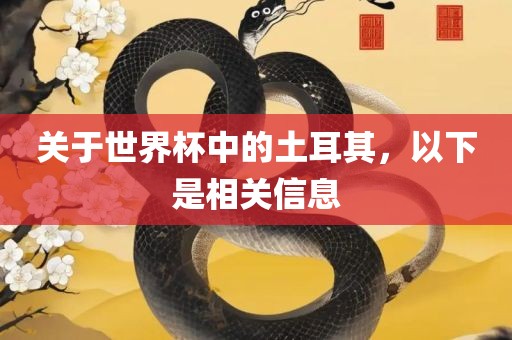 关于世界杯中的土耳其，以下是相关信息