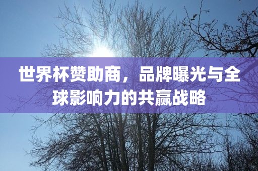 世界杯赞助商，品牌曝光与全球影响力的共赢战略