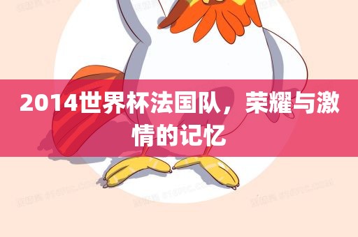 2014世界杯法国队，荣耀与激情的记忆