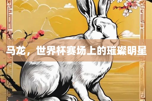 马龙，世界杯赛场上的璀璨明星
