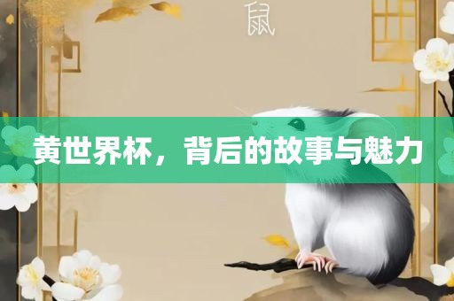 黄世界杯，背后的故事与魅力