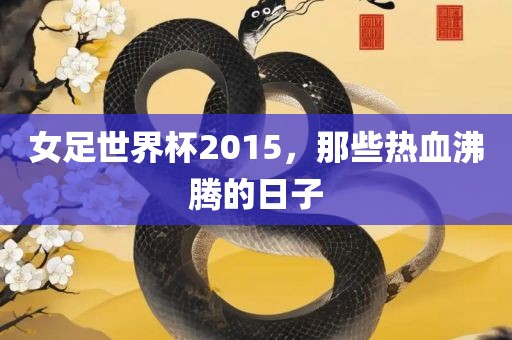 女足世界杯2015，那些热血沸腾的日子