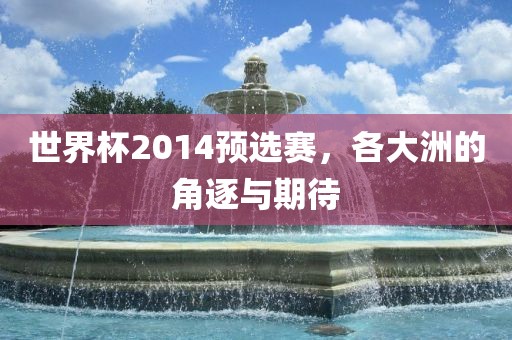 世界杯2014预选赛，各大洲的角逐与期待