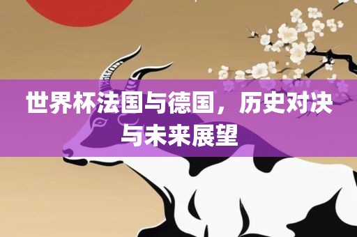 世界杯法国与德国，历史对决与未来展望