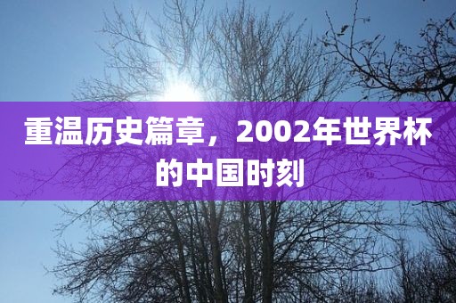 重温历史篇章，2002年世界杯的中国时刻
