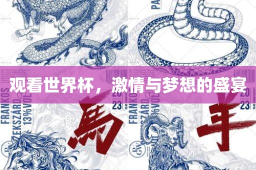 观看世界杯，激情与梦想的盛宴