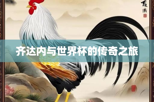 齐达内与世界杯的传奇之旅