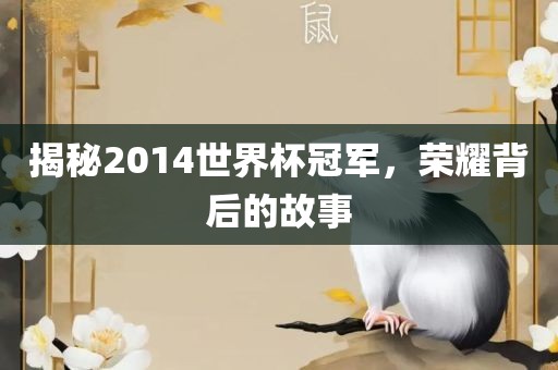 揭秘2014世界杯冠军，荣耀背后的故事