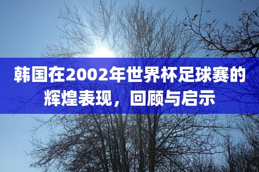 韩国在2002年世界杯足球赛的辉煌表现，回顾与启示