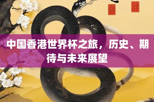 中国香港世界杯之旅，历史、期待与未来展望