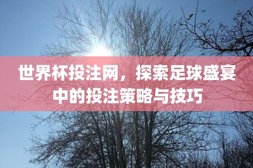 世界杯投注网，探索足球盛宴中的投注策略与技巧