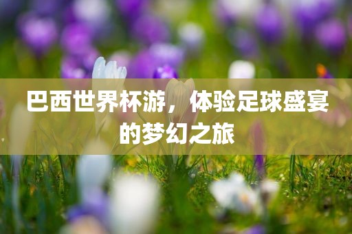 巴西世界杯游，体验足球盛宴的梦幻之旅