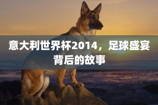 意大利世界杯2014，足球盛宴背后的故事