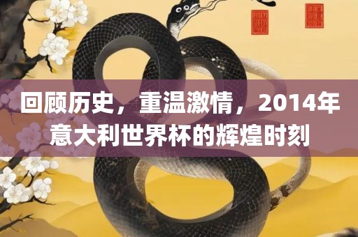 回顾历史，重温激情，2014年意大利世界杯的辉煌时刻