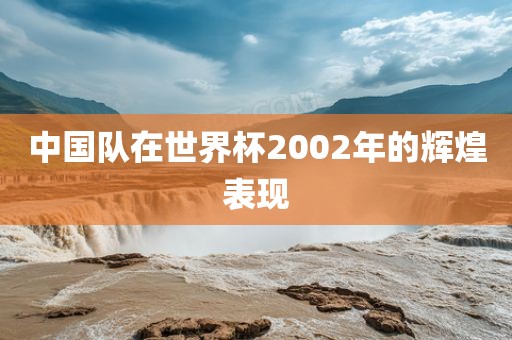 中国队在世界杯2002年的辉煌表现