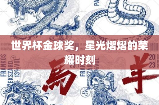 世界杯金球奖，星光熠熠的荣耀时刻