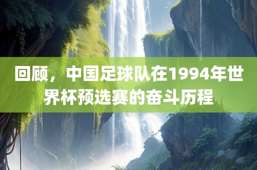 回顾，中国足球队在1994年世界杯预选赛的奋斗历程