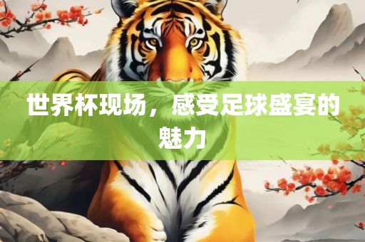 世界杯现场，感受足球盛宴的魅力