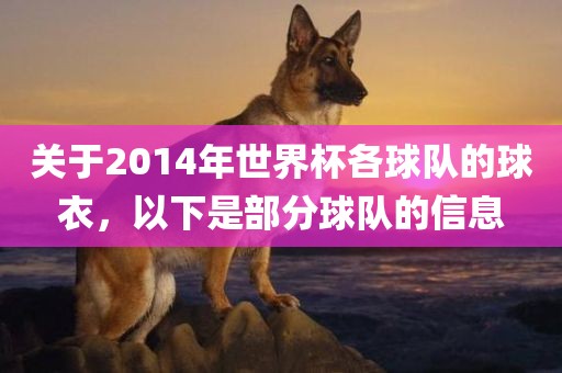 关于2014年世界杯各球队的球衣，以下是部分球队的信息