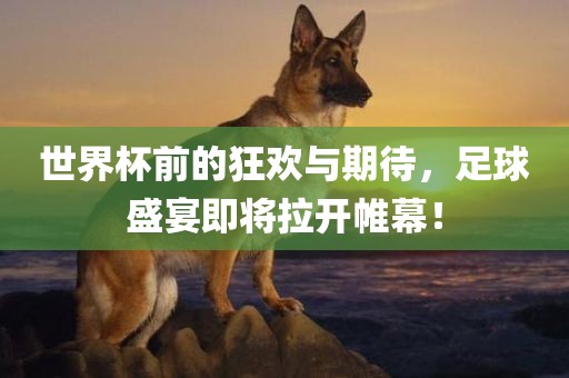 世界杯前的狂欢与期待，足球盛宴即将拉开帷幕！
