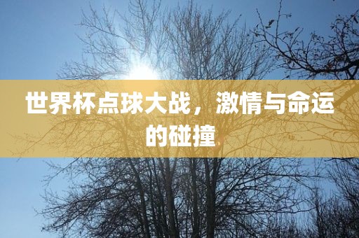 世界杯点球大战，激情与命运的碰撞