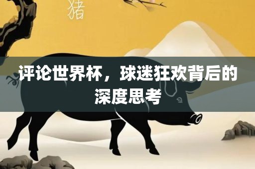 评论世界杯，球迷狂欢背后的深度思考