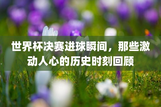 世界杯决赛进球瞬间，那些激动人心的历史时刻回顾