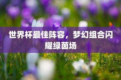 世界杯最佳阵容，梦幻组合闪耀绿茵场