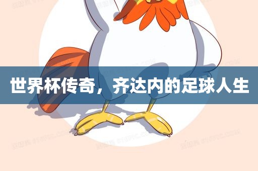 世界杯传奇，齐达内的足球人生