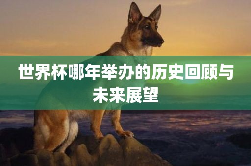 世界杯哪年举办的历史回顾与未来展望