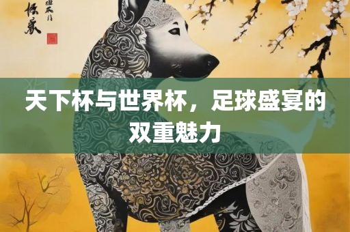 天下杯与世界杯，足球盛宴的双重魅力